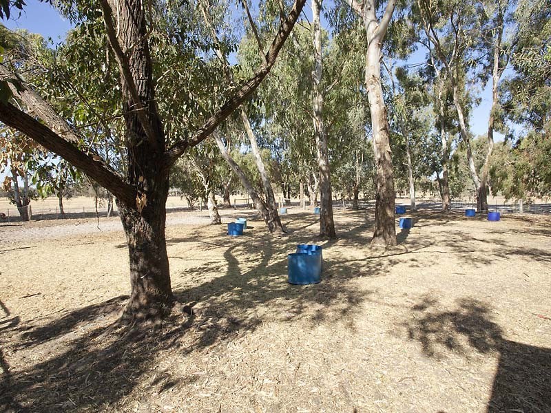 823 Kargotich Road, Cardup WA 6122