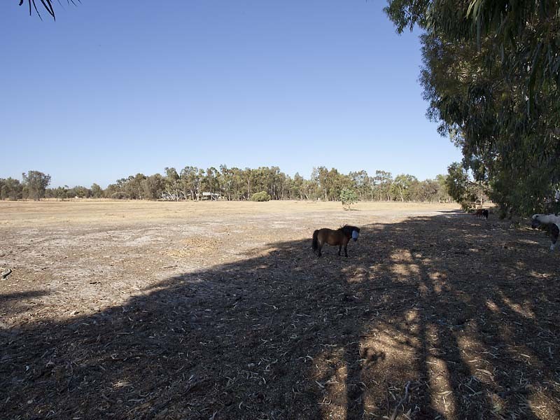 823 Kargotich Road, Cardup WA 6122