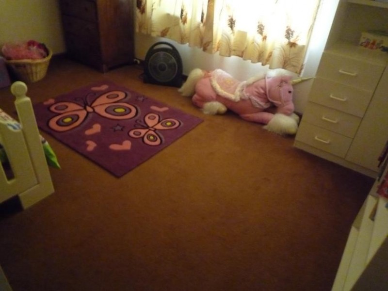 19 McKenzie Grove, Kelmscott WA 6111