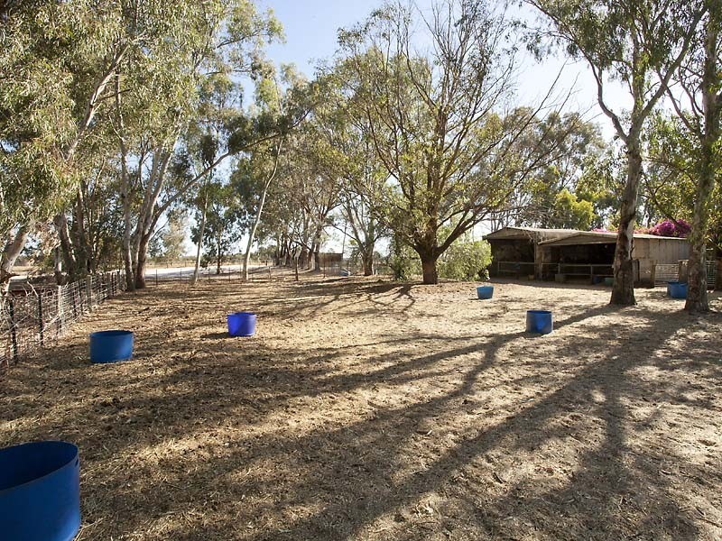 823 Kargotich Road, Cardup WA 6122