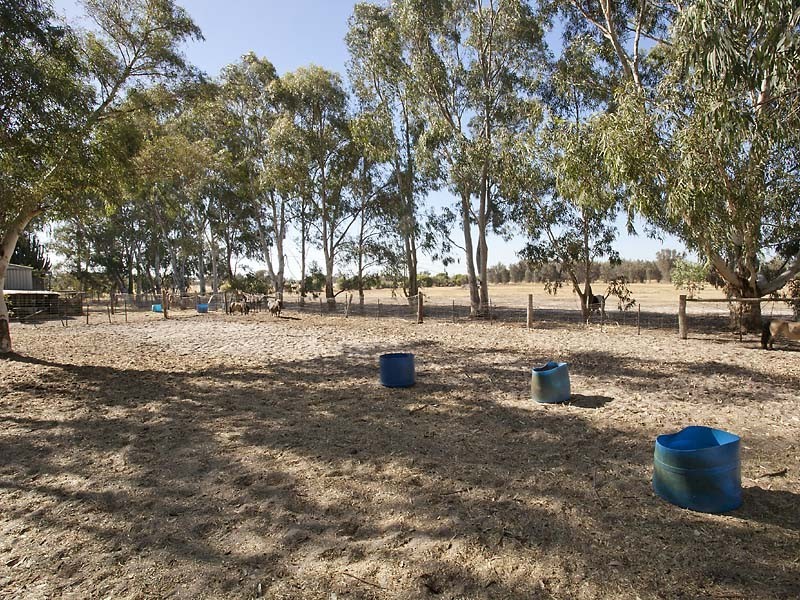 823 Kargotich Road, Cardup WA 6122