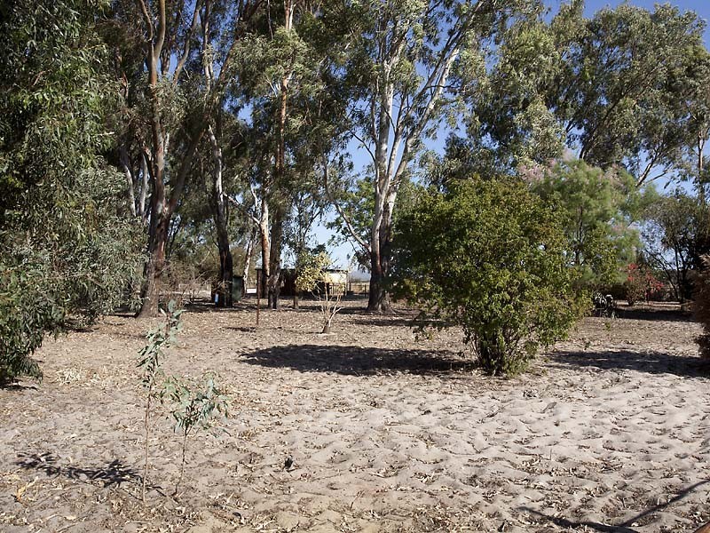 823 Kargotich Road, Cardup WA 6122