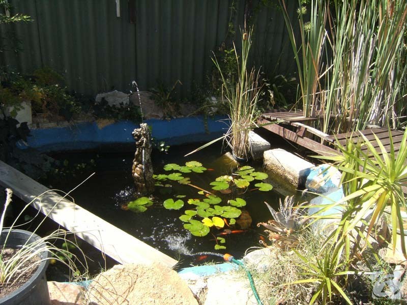 5 Woburn Way, Kelmscott WA 6111