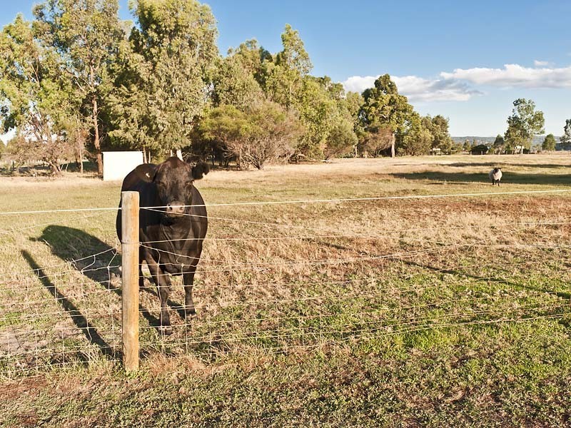 Lot 3,  Bournbrook Ave, Cardup WA 6122