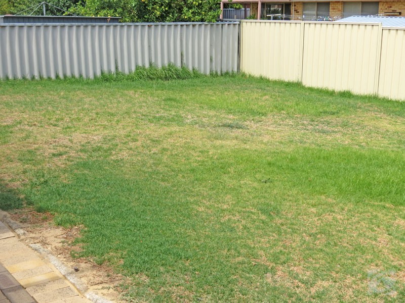 41 Eureka Place, Seville Grove WA 6112