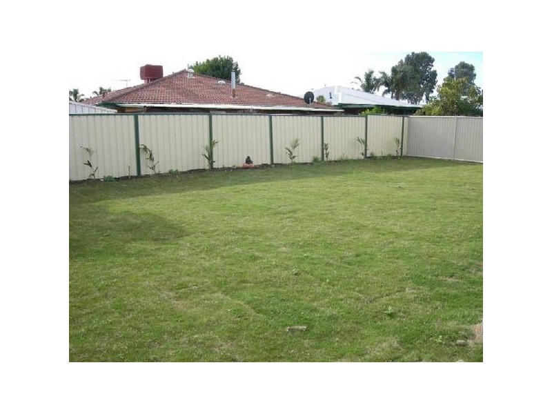 Jonquil Loop, Seville Grove WA 6112