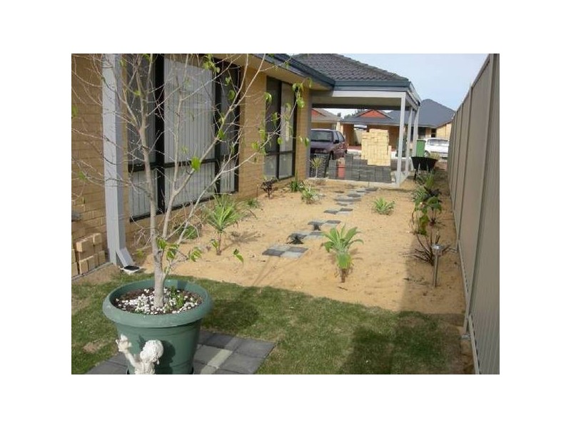 Jonquil Loop, Seville Grove WA 6112