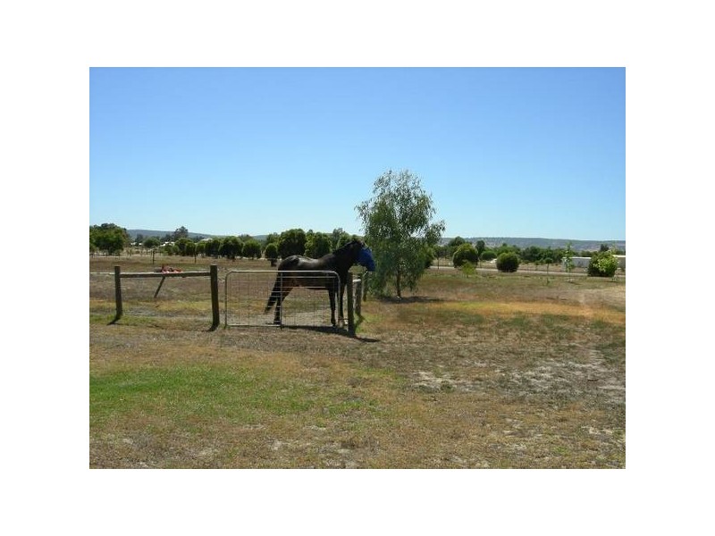 53 Bournbrook Avenue, Cardup WA 6122