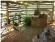 2 Breaden Drive, Cooloongup WA 6168