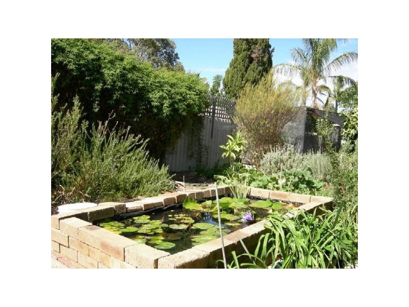 37A Lensham Place, Armadale WA 6112