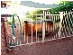1 Horseshoe Crt, Kelmscott WA 6111