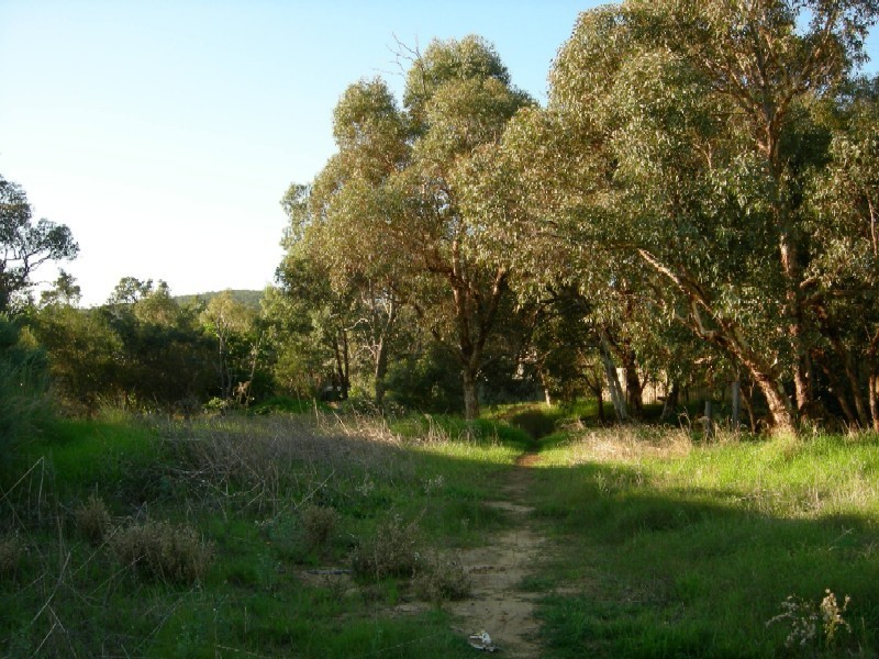 24 Hill Street, Kelmscott WA 6111