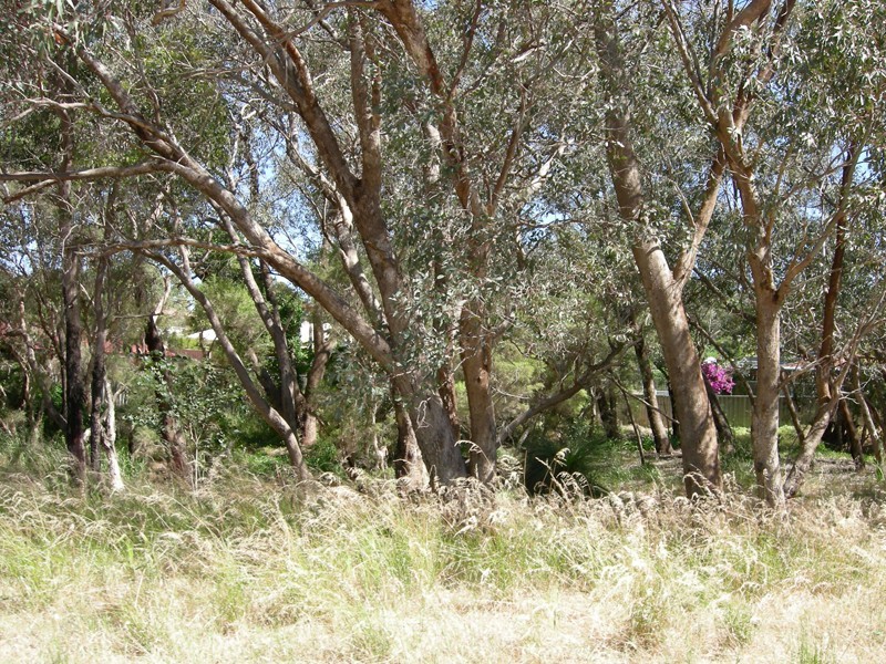 10 Brookside Avenue, Kelmscott WA 6111