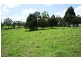 Dungog NSW 2420