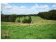 Dungog NSW 2420