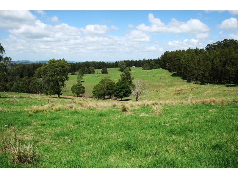 Dungog NSW 2420