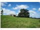 Dungog NSW 2420