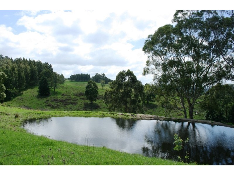 Dungog NSW 2420