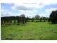 Dungog NSW 2420