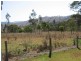East Gresford NSW 2311