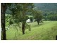 Dungog NSW 2420