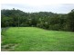 Dungog NSW 2420