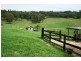 Dungog NSW 2420