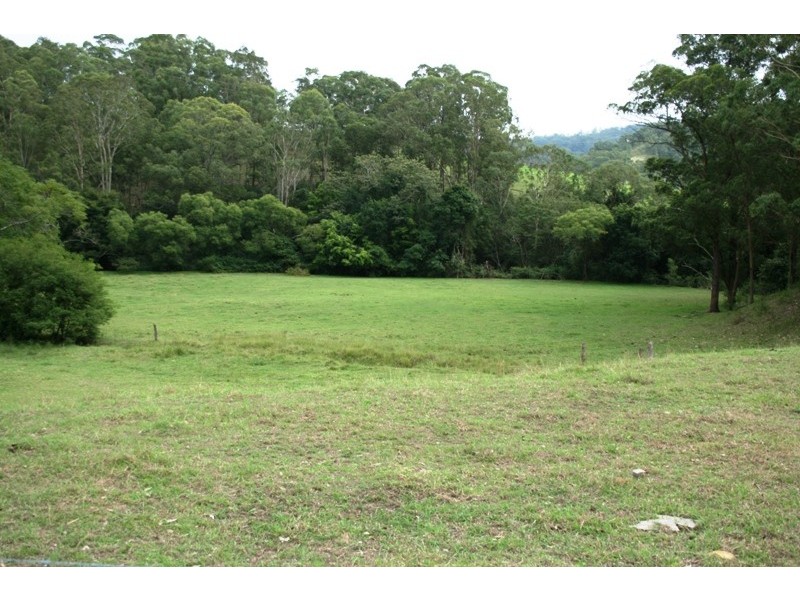 Paterson NSW 2421