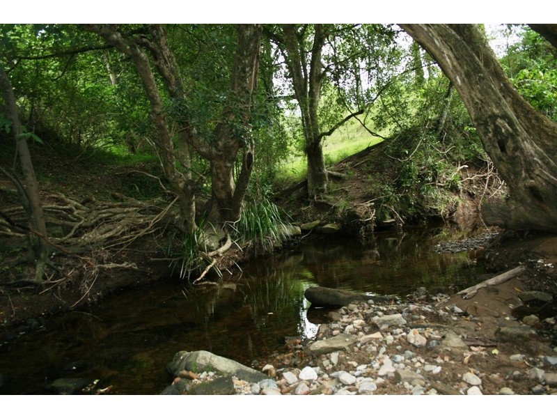 Paterson NSW 2421