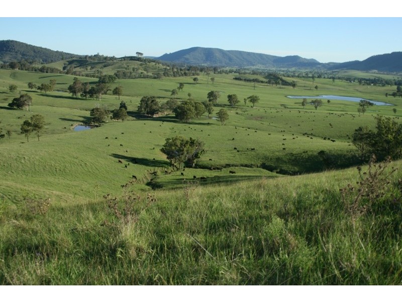 East Gresford NSW 2311