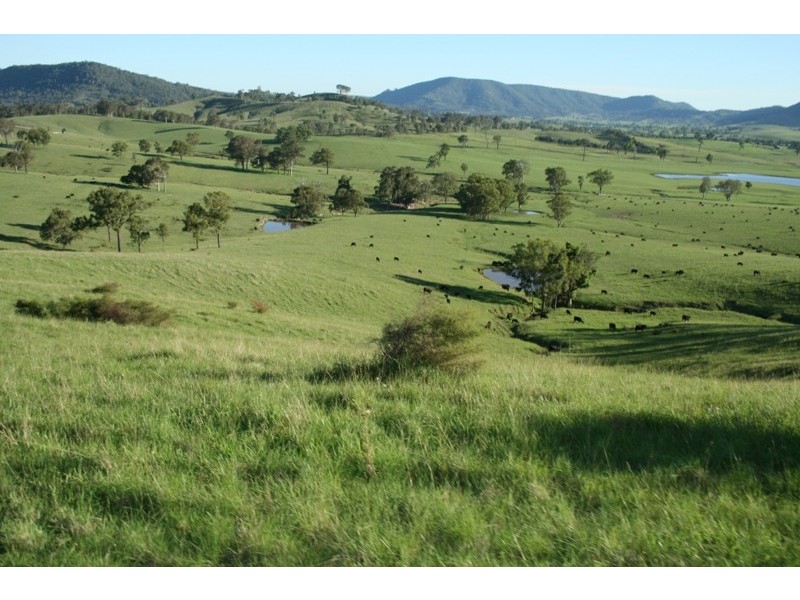 East Gresford NSW 2311