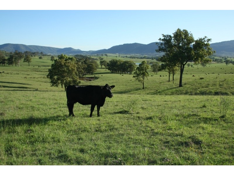 East Gresford NSW 2311