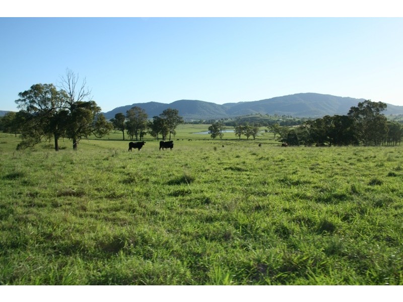 East Gresford NSW 2311