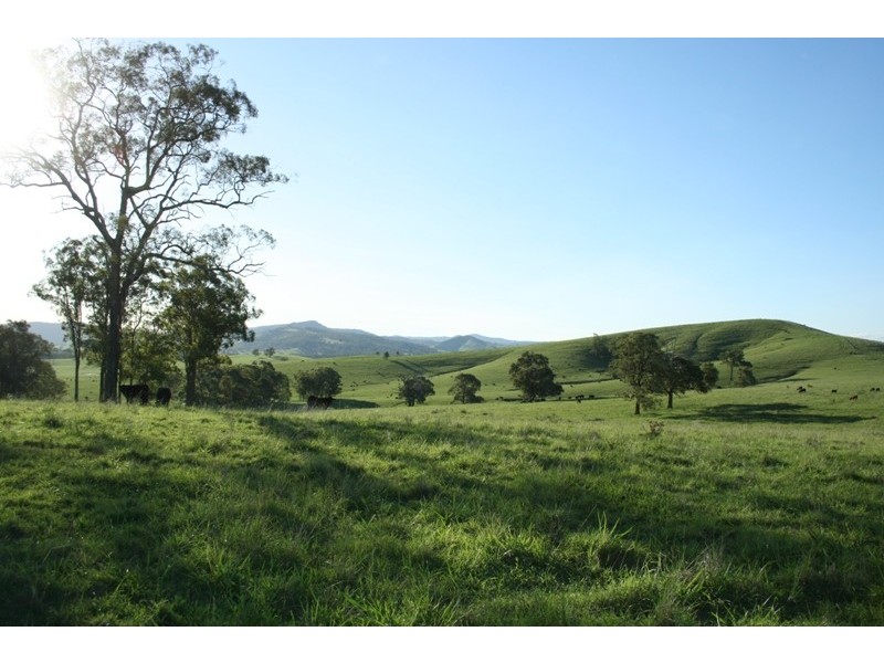 East Gresford NSW 2311