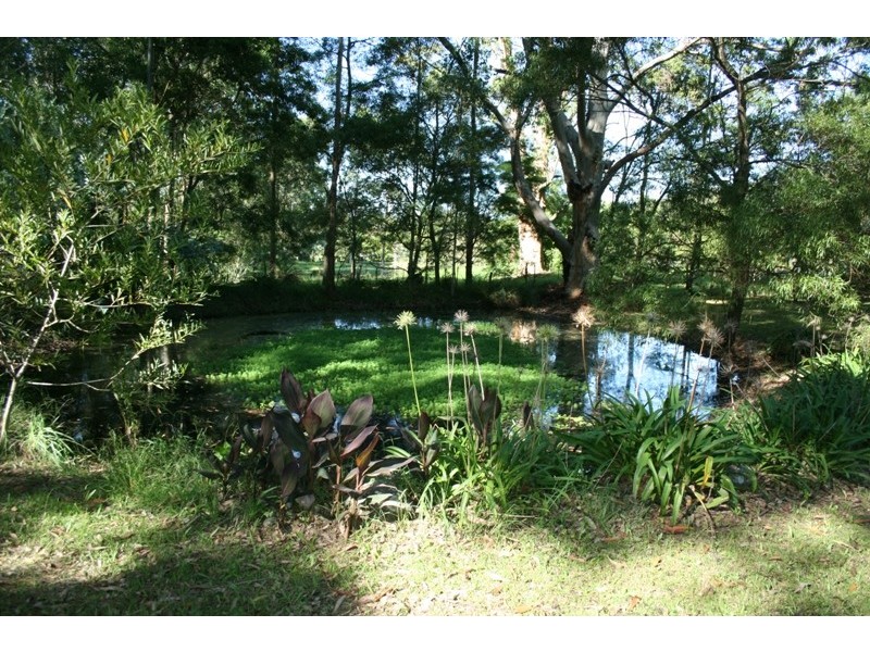 Dungog NSW 2420