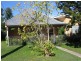 Dungog NSW 2420