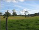 Bandon Grove NSW 2420