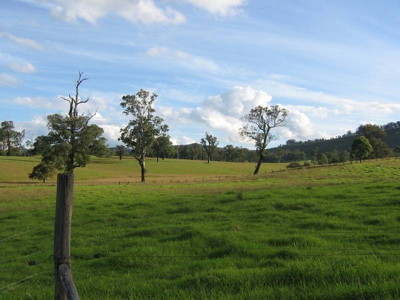 Bandon Grove NSW 2420