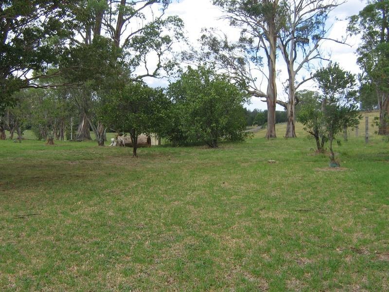 Dungog NSW 2420