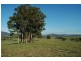 Gresford NSW 2311