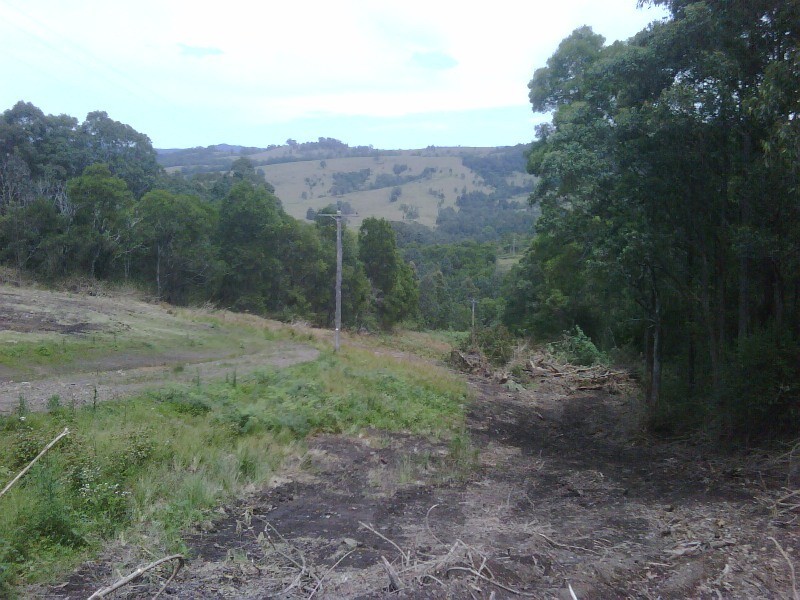 Dungog NSW 2420