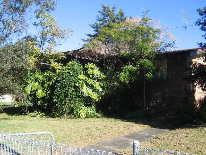 Dungog NSW 2420