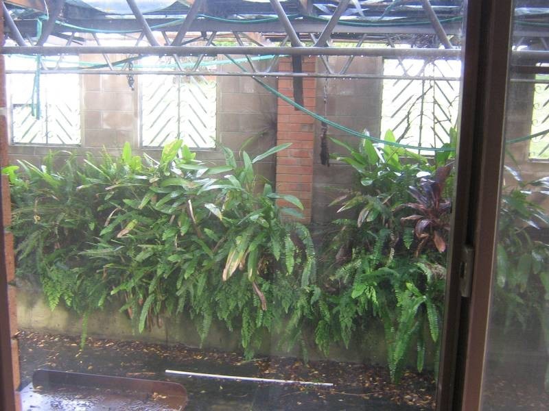 Dungog NSW 2420
