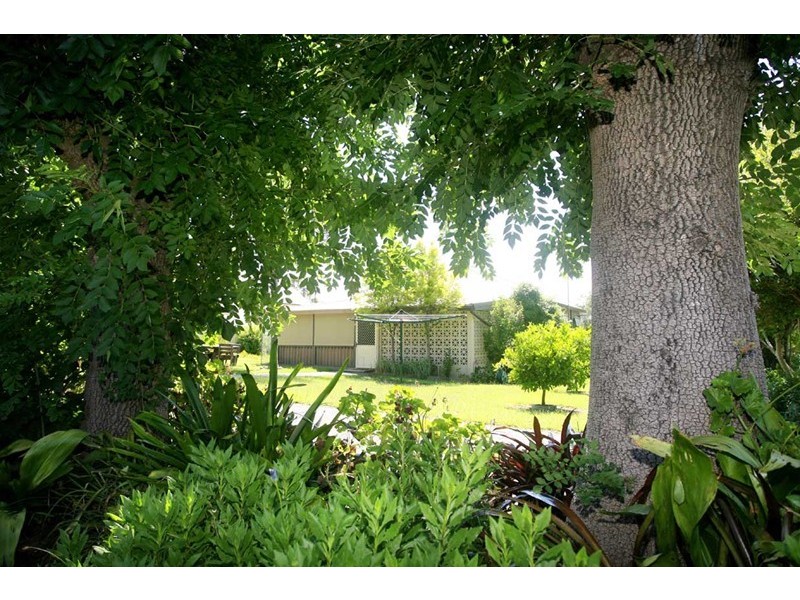 78 Abelard Street, Dungog NSW 2420