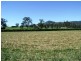 Dungog NSW 2420