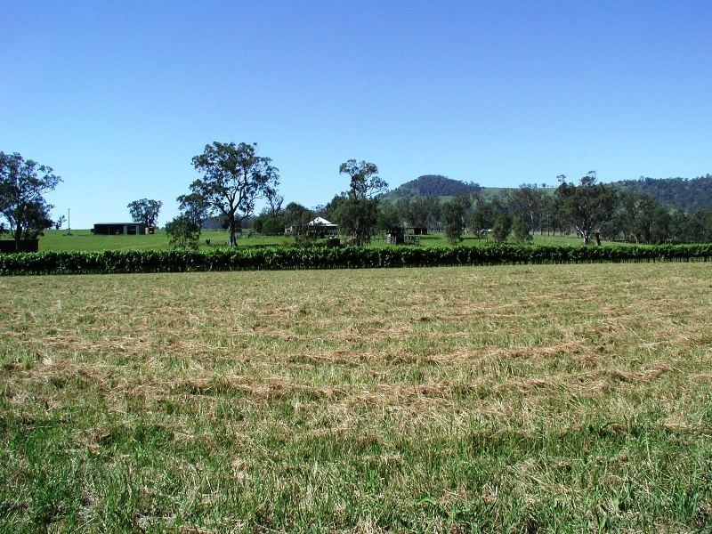 Dungog NSW 2420