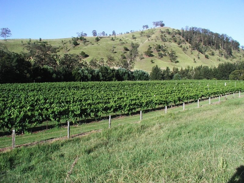 Dungog NSW 2420