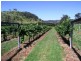 Dungog NSW 2420