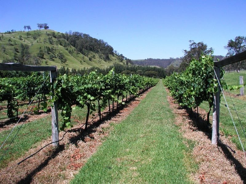 Dungog NSW 2420