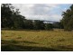Dungog NSW 2420